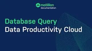 Matillion Data Productivity Cloud | How to Connect to a Relational Database