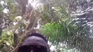 Les aventures d'Entertainment