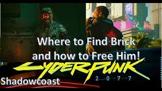 How to free Brick in The Pickup mission Cyberpunk 2077