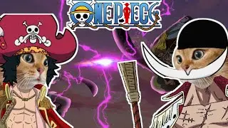 CAT MEMES / One Piece : Roger Vs Whitebeard
