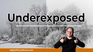 How to Fix an Underexposed Image With Luminar Neo