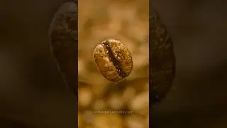 #Cafe