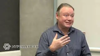 Software Governance of the Hyperledger Projects