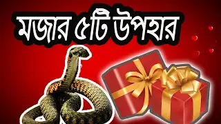 এই উপহার কাউকে দিলে খুশি হবে১০০% | Best gift for Girlfriend/Birthday/valentine day | Best Gift ideas