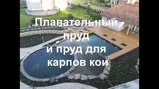 Плавательный пруд и пруд для карпов кои