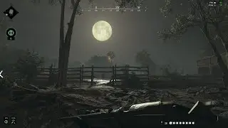 200 Hours of Hunt: Showdown - A Montage