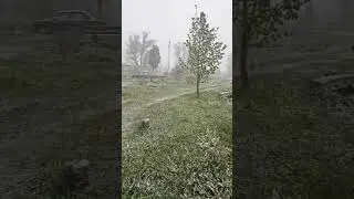 Девятое Мая 2024г #погода #снег #дорога #automobile #snow