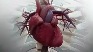 3D MEDICAL ANIMATION | 3D PRODUCT ANIMATION | PRODUCT PROMOTION VIDEO| PROMOTIONAL ANIMATION COMPANY