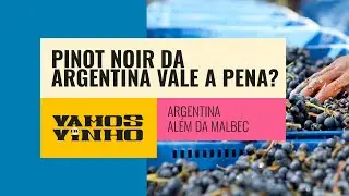 Pinot Noir da Argentina é mais barato que da França, mas vale a economia?