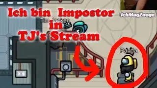 ICH BIN IMPOSTOR IN @PowerTJ  LIVESTREAM | Among Us