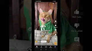 Это Видел Длится 3 секунды