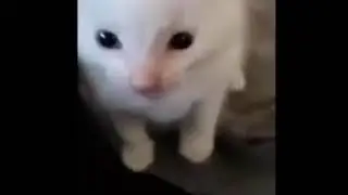 Hi Herbert Meme Compilation