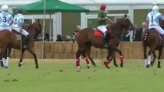 polo patrons cup trinity park ipswich
