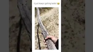UNUSUAL RANDOM MEMES COMPILATION V51  #memes #shorts