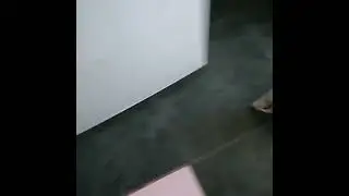 Ради смеха