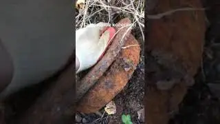 узкоколеечное колесо