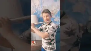 леди зелёные рукава
