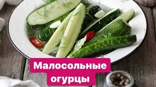 МАЛОСОЛЬНЫЕ ОГУРЦЫ РЕЦЕПТ, Быстрые малосольные огурцы 🥒 +8 Рецептов