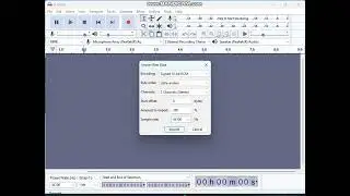 How to imput raw data into audacity