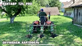 Кентавр т24 про окучивание картофеля , окучниками kerland ok-300