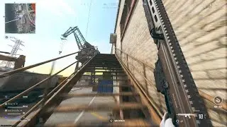 Call of Duty Cat Noises???
