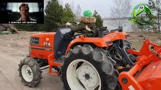 Посевной газон на даче.