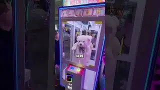 Winning GIANT Prize From String Cutting Arcade Game! 