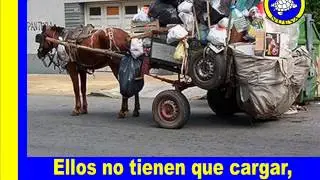 NO MAS TRACCIÓN ANIMAL