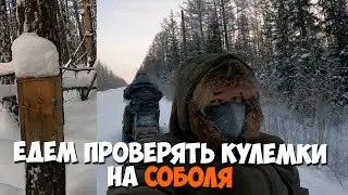 Едем проверять кулемки на соболя