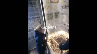 крепость карелла