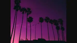 “Palm Trees” - Dominic Fike Guitar Trapsoul Beat