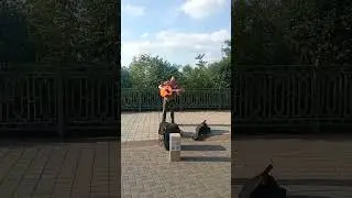 Грустные мысли