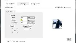Changing Canvas Size with reaConverter