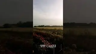 Июнь 2024г.