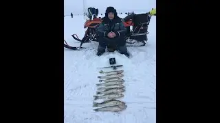 Судак на ОВХ. Морской - 31 км. 2021г. 