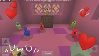Parrot dance ❤️