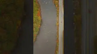Fall ride