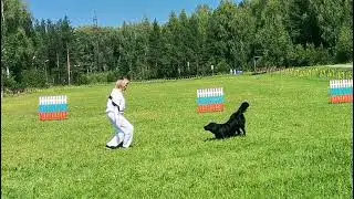 Наташа и Яра Ворона