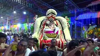 🔴 Day 19: #కల్పవృక్ష వాహనము 🍀 | Kalpavriksha Vahanam | #Kanipakam Brahmotsavam 2024