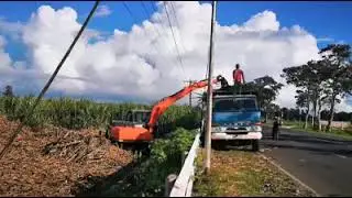 Best Sugarcane loader working demo loading to Truck 100Ton per day replacing manpower low efficiency