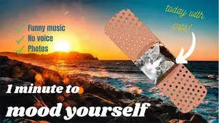 Boost your energy level with these 22 motivating phrases and cats