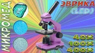 Children's microscope - Mikromed Eureka (for school age)