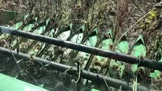 Уборка Подсолнуха 2020 Заразиха