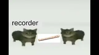 this is a recorder