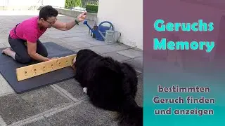 Geruchs Memory - Suche und Anzeige eines bestimmten Geruchs