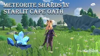 Where to Find Meteorites Shard in Cape Oath? [Unreconciled Stars Genshin Impact Event]