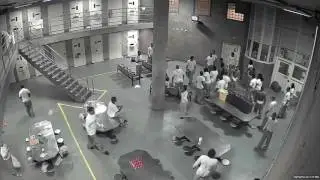 CHICAGO JAIL FIGHT