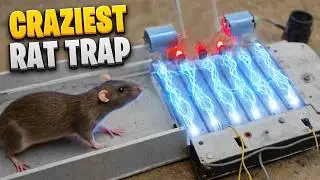 The Craziest Rodent Catches of the Century!