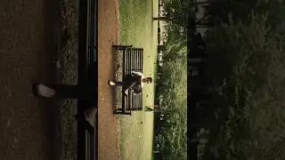 🌳🦅