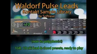 Waldorf Pulse Leads Kontakt Sample Library (VSTI virtual instrument polyphonic analog) by Softrave